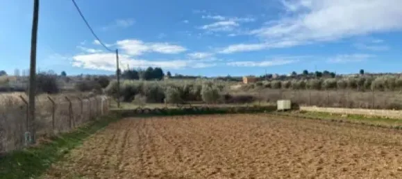 Земельный участок 80000м² в Мораледа-де-Сафайона, Испания № 138902 20