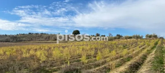 Земельный участок 80000м² в Мораледа-де-Сафайона, Испания № 138902 32