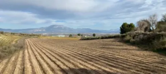 Земельный участок 80000м² в Мораледа-де-Сафайона, Испания № 138902 5