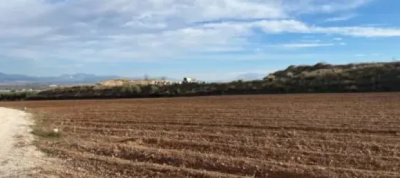 Земельный участок 80000м² в Мораледа-де-Сафайона, Испания № 138902 10