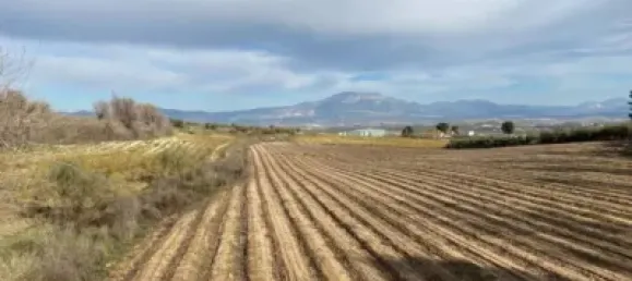 Земельный участок 80000м² в Мораледа-де-Сафайона, Испания № 138902 24