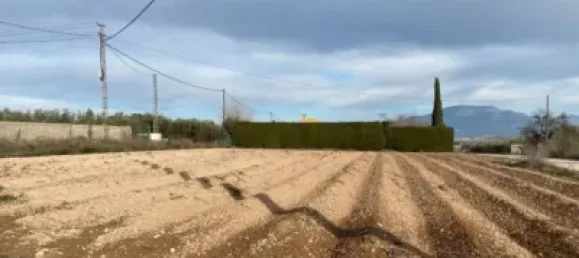 Земельный участок 80000м² в Мораледа-де-Сафайона, Испания № 138902 6