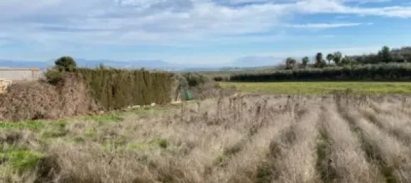 Земельный участок 80000м² в Мораледа-де-Сафайона, Испания № 138902 29