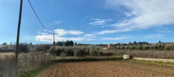 Земельный участок 80000м² в Мораледа-де-Сафайона, Испания № 138902 4