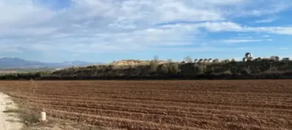 Земельный участок 80000м² в Мораледа-де-Сафайона, Испания № 138902 9