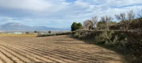 Земельный участок 80000м² в Мораледа-де-Сафайона, Испания № 138902 12