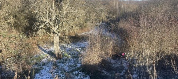 Terrain à Grosbliederstroff, France 2183m² No. 158926 2