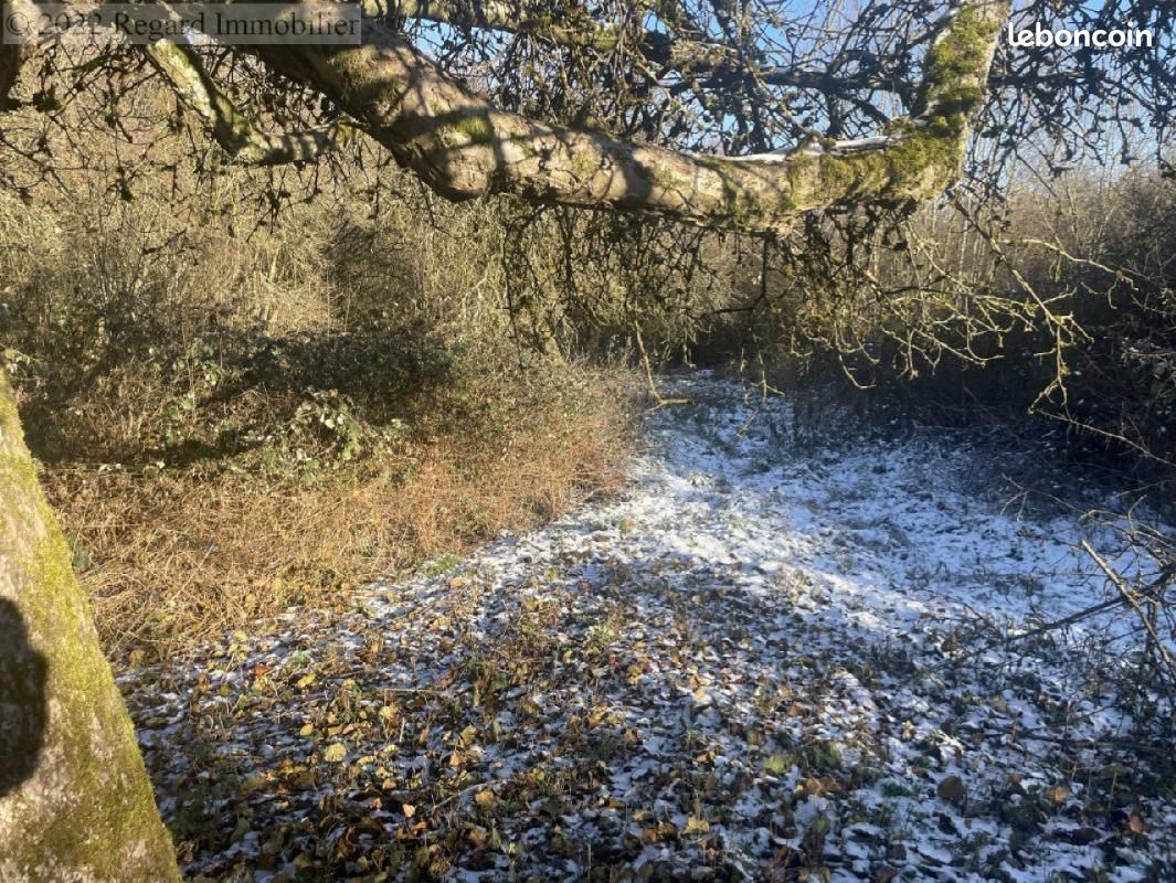 Terrain à Grosbliederstroff, France 2183m² No. 158926