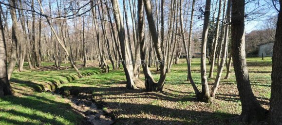 12 Schlafzimmer Villa in Leggiuno, Italy, Nr. 332367 12