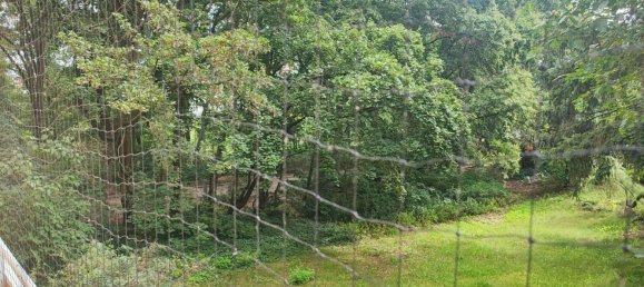 Studio à Wilmersdorf, Germany No. 363329 6