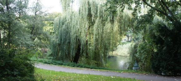 Studio à Wilmersdorf, Germany No. 363329 7