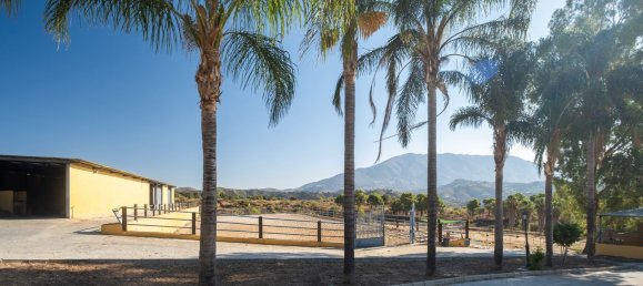 Casa de 4 dormitorios en Mijas, Spain No. 85568 16