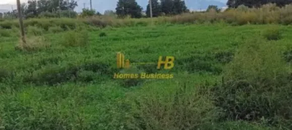 5 Schlafzimmer Haus in Tortosa, Spain, Nr. 165123 23