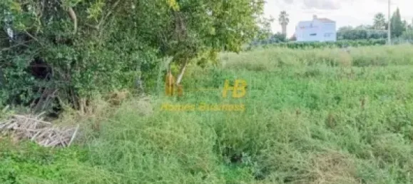 5 Schlafzimmer Haus in Tortosa, Spain, Nr. 165123 2