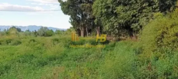 5 Schlafzimmer Haus in Tortosa, Spain, Nr. 165123 22