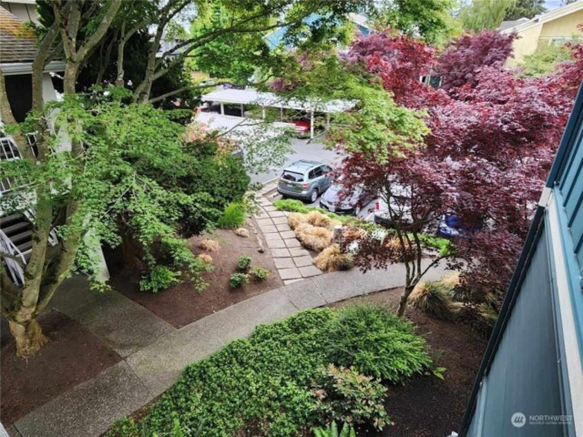 2 bedrooms House in Seattle, USA No. 365884