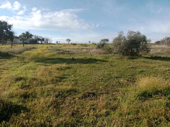 3270m² Land in Merida, Spain No. 197881