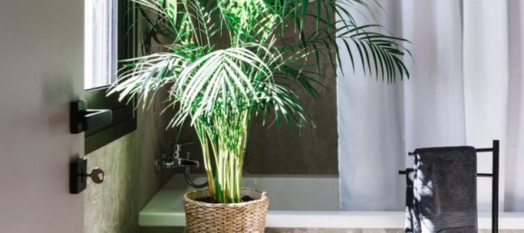 6 bedrooms Townhouse in Nicosia, Cyprus No. 32385 26