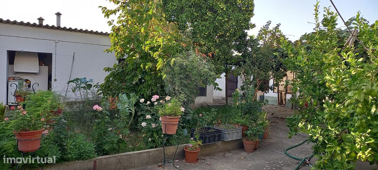 3 غرف نوم منزل في Ulme, Portugal رقم 24837