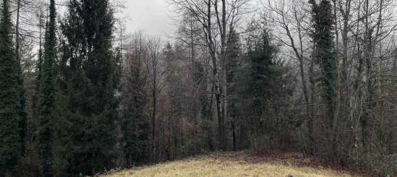 Grundstück in Serina, Italy 19840m², Nr. 153732 13