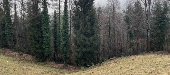 Grundstück in Serina, Italy 19840m², Nr. 153732 15