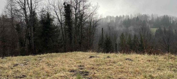 Grundstück in Serina, Italy 19840m², Nr. 153732 10