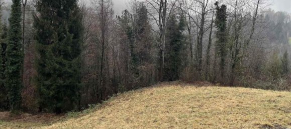 Grundstück in Serina, Italy 19840m², Nr. 153732 8