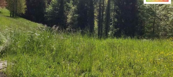 Grundstück in Serina, Italy 19840m², Nr. 153732 25