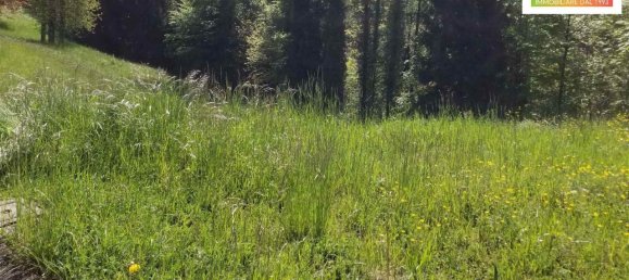 Grundstück in Serina, Italy 19840m², Nr. 153732 24