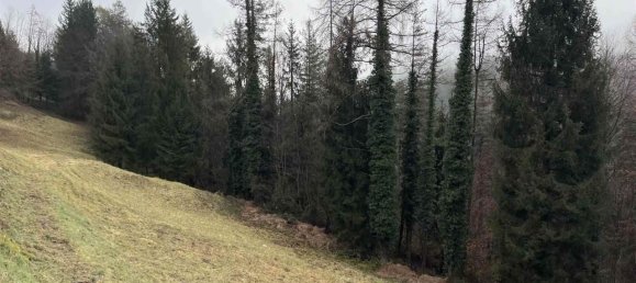 Grundstück in Serina, Italy 19840m², Nr. 153732 7