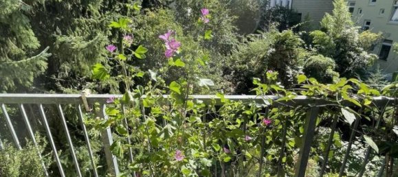 5 rooms Apartment in Altona, Germany No. 330495 2