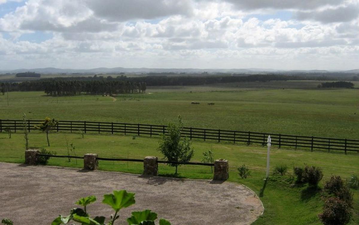 92m² Farm in Maldonado, Uruguay No. 14152