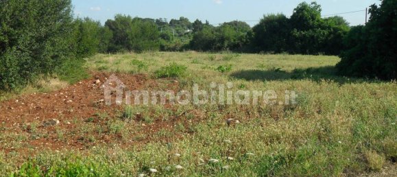 Terrain à Monopoli, Italy 25000m² No. 151938 2