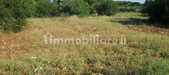 Terrain à Monopoli, Italy 25000m² No. 151938 12