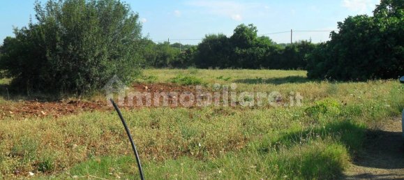 Terrain à Monopoli, Italy 25000m² No. 151938 14