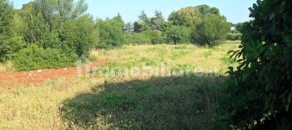 Terrain à Monopoli, Italy 25000m² No. 151938 27