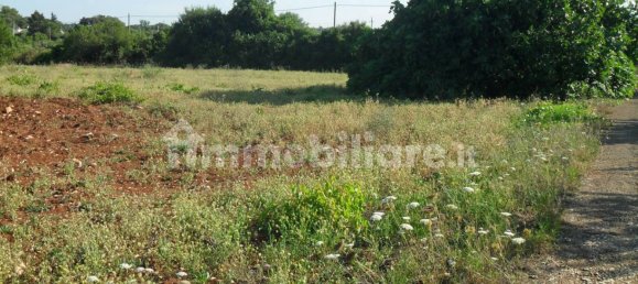 Terrain à Monopoli, Italy 25000m² No. 151938 17