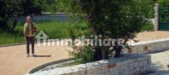 Terrain à Monopoli, Italy 25000m² No. 151938 24