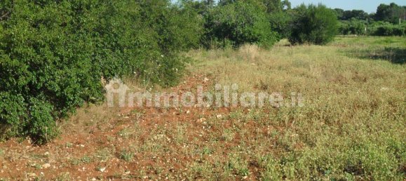 Terrain à Monopoli, Italy 25000m² No. 151938 15