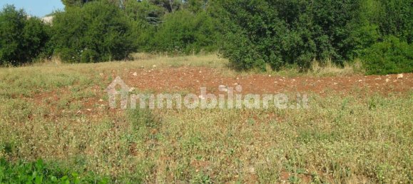 Terrain à Monopoli, Italy 25000m² No. 151938 3