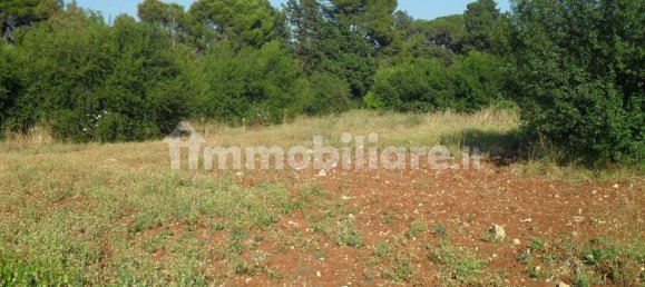 Terrain à Monopoli, Italy 25000m² No. 151938 8