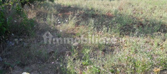 Terrain à Monopoli, Italy 25000m² No. 151938 11