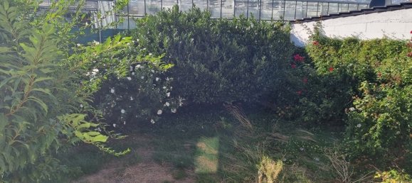 7-Zimmer Stadthaus in Rhein-Neckar-Kreis, Germany, Nr. 275800 23