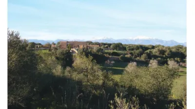 10 chambres Maison à Mallorca, Spain No. 173966