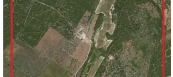 10 chambres Maison à Mallorca, Spain No. 173966 8