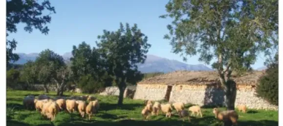 10 chambres Maison à Mallorca, Spain No. 173966 10