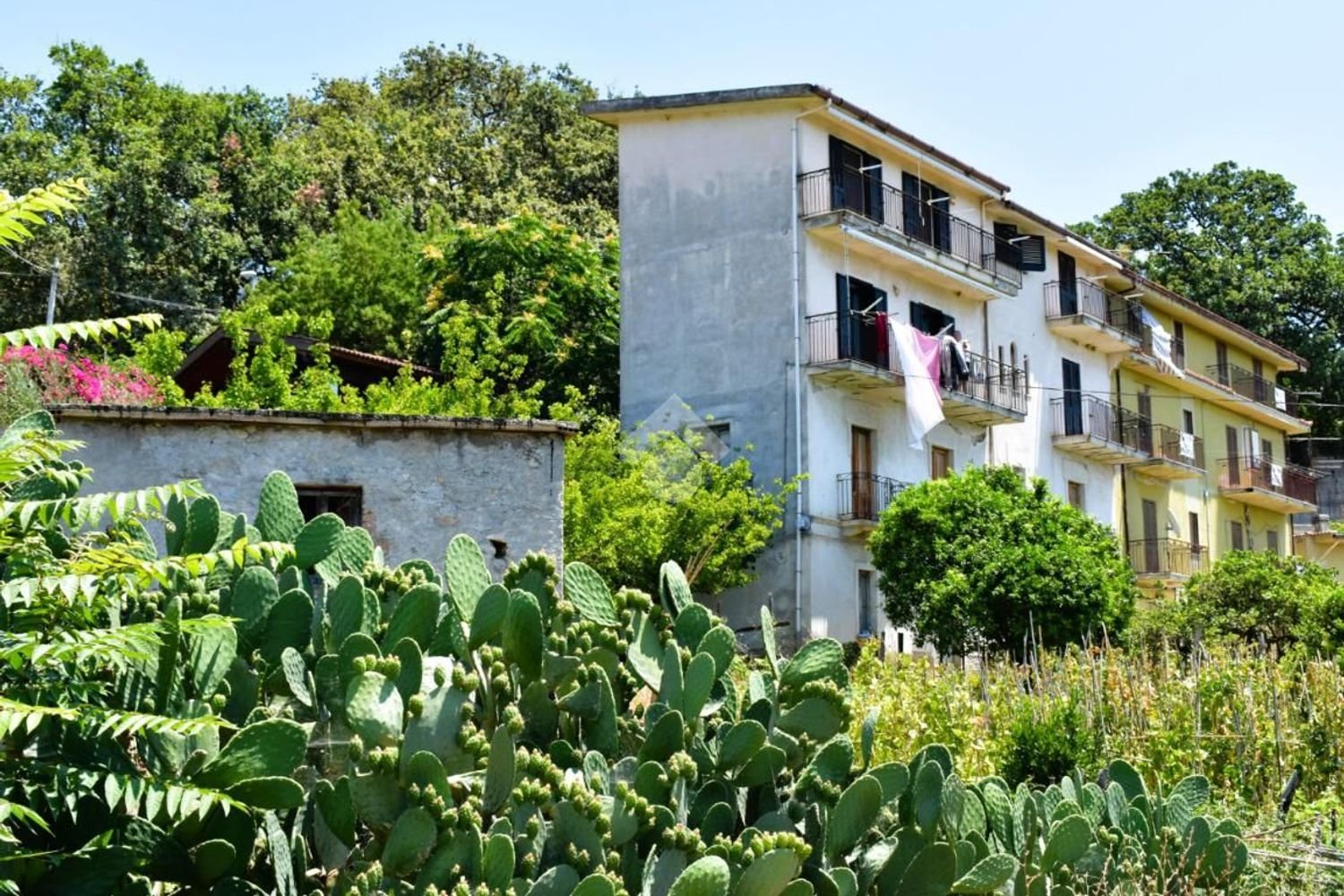 Дом с 6 комнатами в Палуди, Италия № 300815