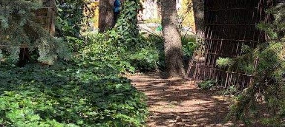 6-Zimmer Villa in Deutsch-Wagram, Austria, Nr. 64396 10