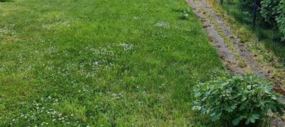 2 bedrooms Townhouse in Nordhausen, Germany No. 262474 16