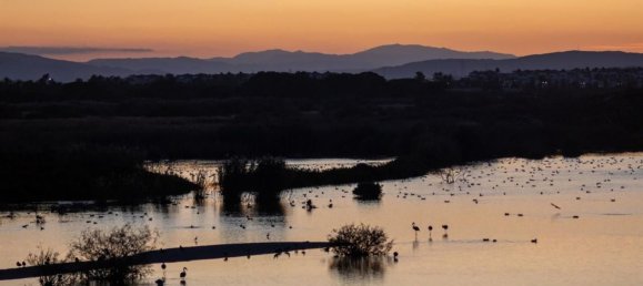 2 chambres Maison à Vera, Spain No. 150869 12